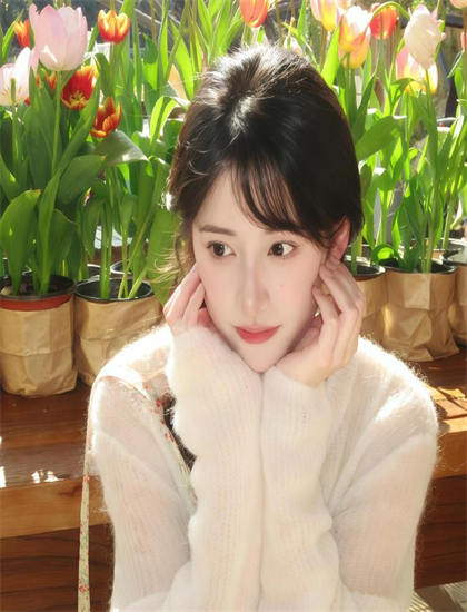 深入的影视评论：《平原枪声2001》的艺术价值与娱乐性平衡